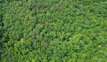 E Mountain Road, Bee Branch, AR 72013