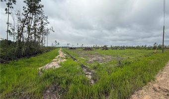 9 219 Ac Rhine Alma GA Rd, Alma, GA 31510