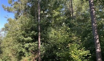 24108 Highway Fifty Eight, Baskerville, VA 23915
