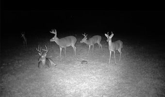 Tract B BOOMERANG Road lot Tract, Amite, LA 70422