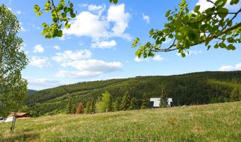 1239 Mclaughlin Ln, Basalt, CO 81621