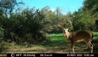 000 Hwy 105, Atkins, AR 72823
