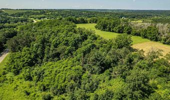 58 Acres River Road Rd, Argyle, WI 53504