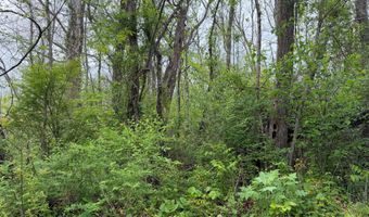 Alta Dr, Alderson, WV 24910