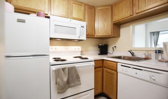 555 E William St 4H, Ann Arbor, MI 48104