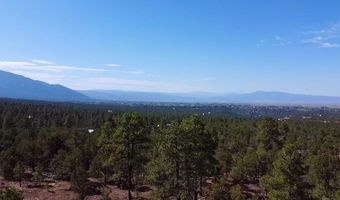 Tract B 266 Gallina Canyon Road, Valdez, NM 87580