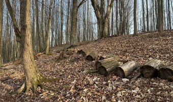 Lot 4 Mud Run Rd, Addison, NY 14801