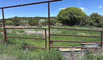 132 E Cedar Road Rd, Capitan, NM 88316