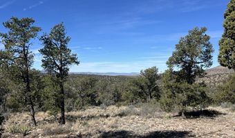 362 Big View Trl, Ash Fork, AZ 86320