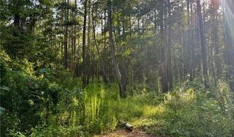 Parcel 3 WARD LINE Road lot Par 3, Bogalusa, LA 70427