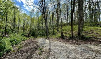 411 Alum Cave Rd, Annville, KY 40402