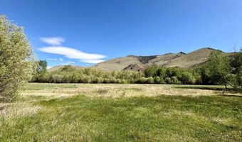 9885 Challis Creek Rd, Challis, ID 83226