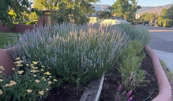 525 SOLANO Dr SE, Albuquerque, NM 87108