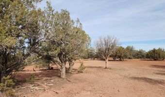 S2 Lot 92 Off Indian Springs, Ash Fork, AZ 86320