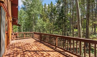 54 Ski Trail Cir, Breckenridge, CO 80424