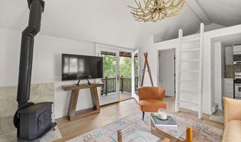 5387 Castle Creek Rd, Aspen, CO 81612