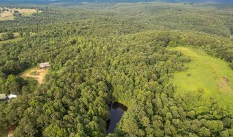 COUNTY ROAD 22, Arley, AL 35541