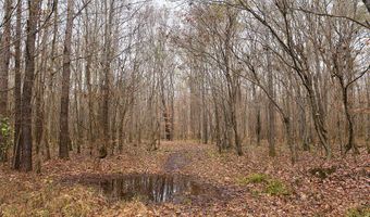 Maddox Road, Ackerman, MS 39735