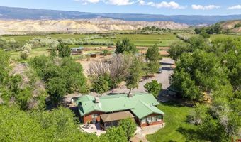 10341 Tongue Creek Rd, Austin, CO 81410