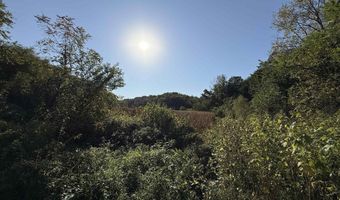 27 Ac. Dougherty Creek Rd, Argyle, WI 53504