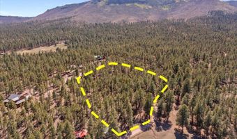 County Road 2325, Alpine, AZ 85920