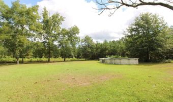 2590 McConnell Bridge Rd, Adel, GA 31620