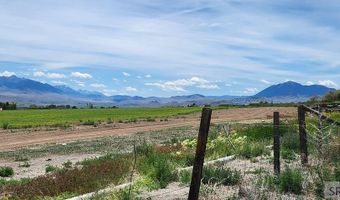 4457 Challis Creek Rd, Challis, ID 83226