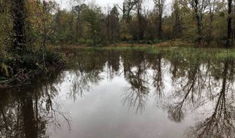 1071 LR 3, Ashdown, AR 71822