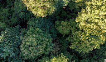 000 County Road 1320 BETWEEN COUNTY ROADS 1324 AND 1320, Bardwell, KY 42023