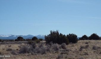 Parcel 107-52-046, Concho, AZ 85924
