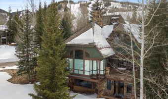 74 Pfister Dr 101, Aspen, CO 81611