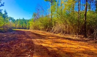 64 Stoneybrook Trl, Bogue Chitto, MS 39629