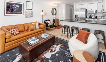 100 E DEAN St 1D, Aspen, CO 81611