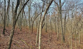 Farm Rd 1187 Lc, Ash Grove, MO 65604