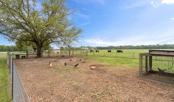 91801 U. S. Highway 98, Beaumont, MS 39423