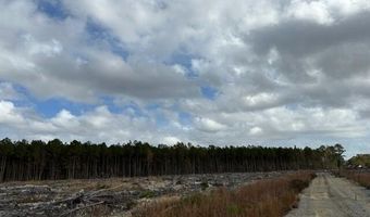 Ahoskie Cofield Road, Ahoskie, NC 27910