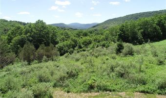 2636 Murphy Hill Rd, Andes, NY 13731