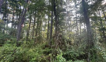 Strawhorn Creek Road lot 2 & 3, Aurora, NC 27806