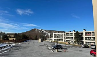 301 Pinnacle Inn Rd 1215, Beech Mountain, NC 28604