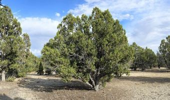 816 Hamilton Stage Rd, Elko, NV 89801