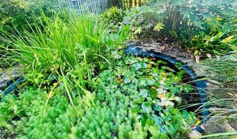 302 Chestnut St, Abbeville, SC 29620