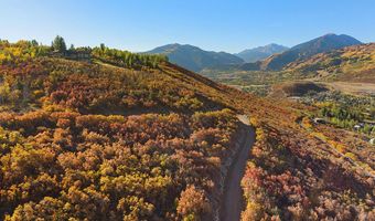 Trentaz Drive, Aspen, CO 81611