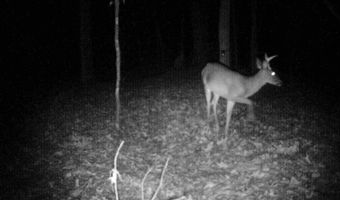 519 247 Country Rd, Bruce, MS 38915