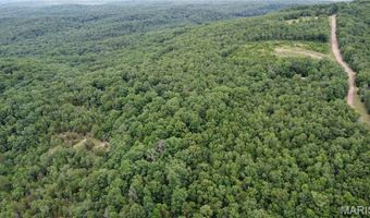 13 Hidden Vly Lks, Annapolis, MO 63620