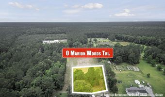 1 Marion Woods Trl, Bonneau, SC 29431