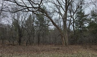 L2 B1 131st Street NW, Baldwin Twp., MN 55398