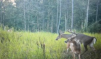 001 Deer Run Rd, Leakesville, MS 39451