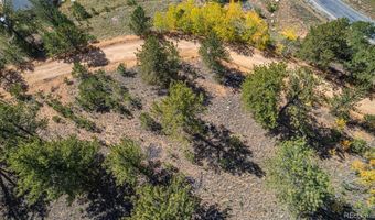 103 Gross Rd, Bailey, CO 80421