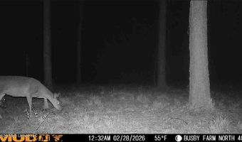 U.S. Highway 51, Bogue Chitto, MS 39629
