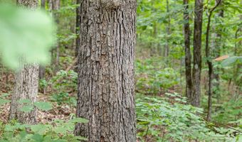 Brewer Hill, Batesville, AR 72501